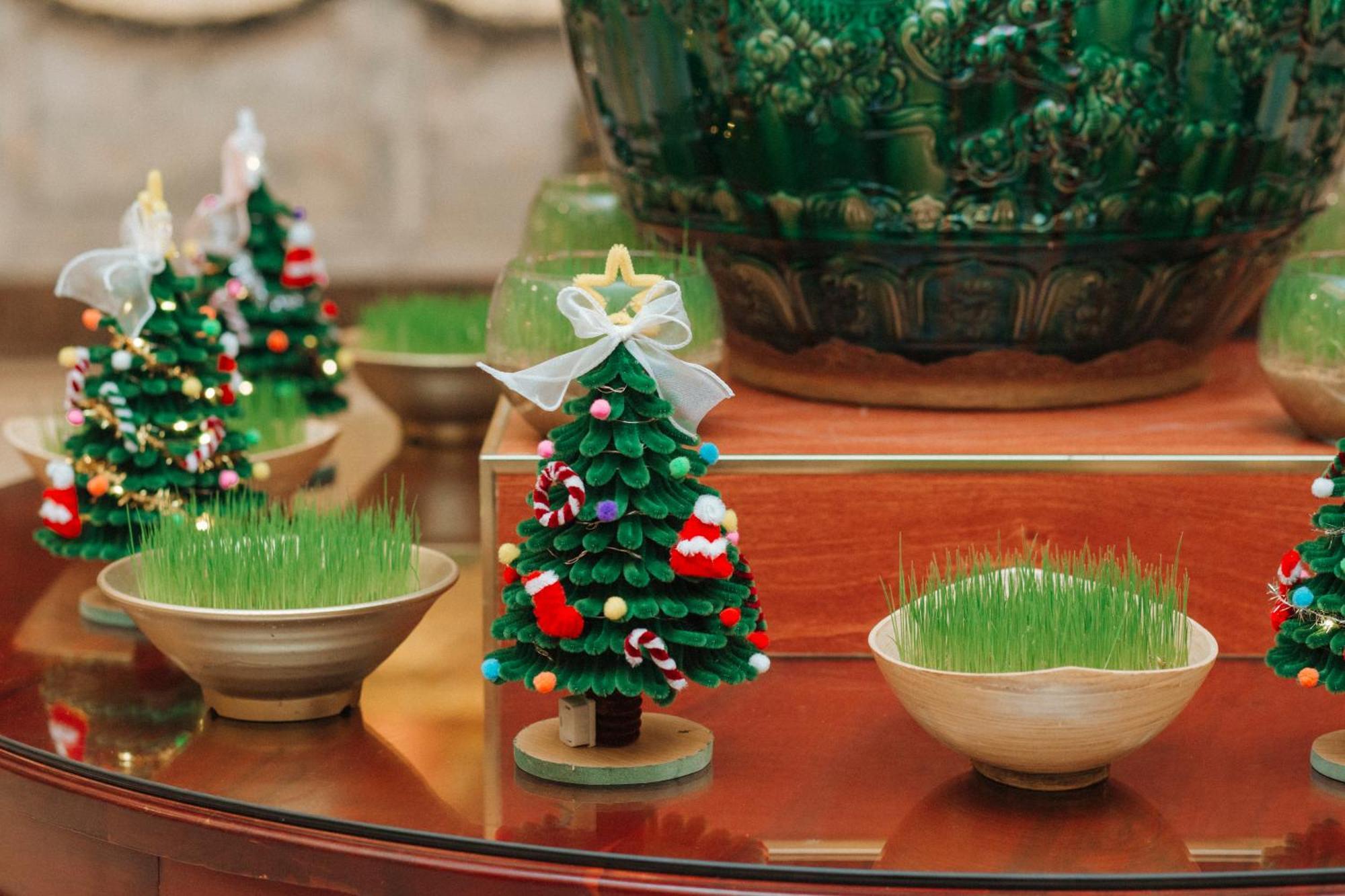 Dlg岘港酒店 外观 照片 Wheatgrass grown in a bowl